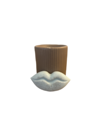 les fondants parfumé grande bouche linge frais