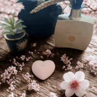 bougie coeur fleur de cerisier