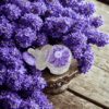 bougie luxe lilas