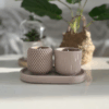 Bougies duo Jesmonite framboise noire vanille